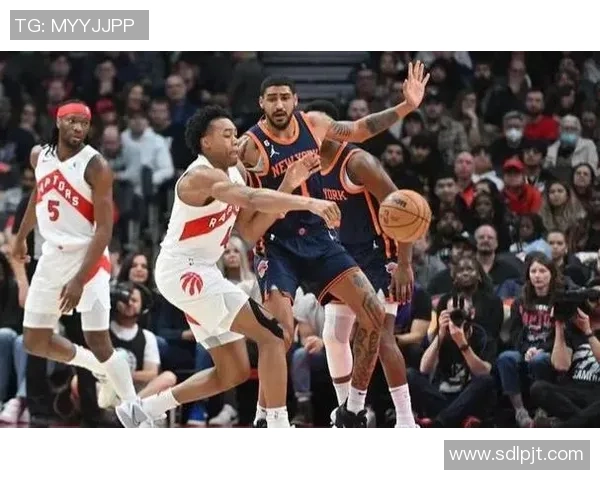 2012年猛龙对阵尼克斯精彩回顾与赛季分析 2012年猛龙对阵尼克斯精彩回顾与赛季分析