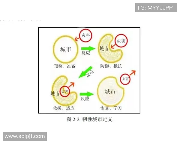 圣何塞地震对比纽约城的城市韧性与应急管理策略分析 圣何塞地震对比纽约城的城市韧性与应急管理策略分析