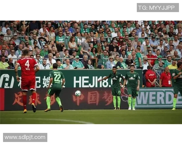 帕德博与拜仁对决分析及胜负推荐策略分享 帕德博与拜仁对决分析及胜负推荐策略分享