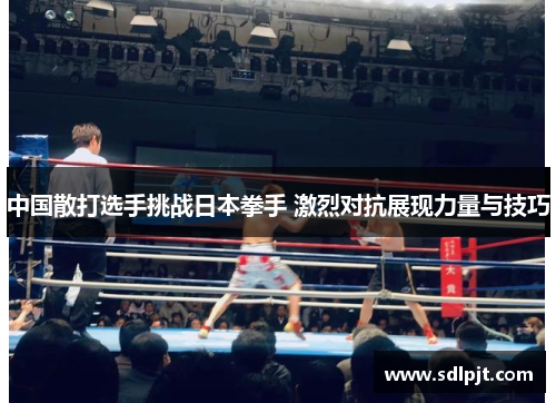 中国散打选手挑战日本拳手 激烈对抗展现力量与技巧
