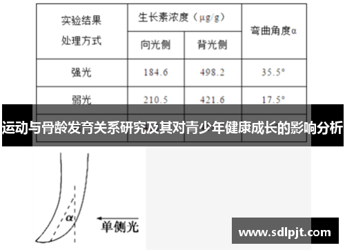 运动与骨龄发育关系研究及其对青少年健康成长的影响分析