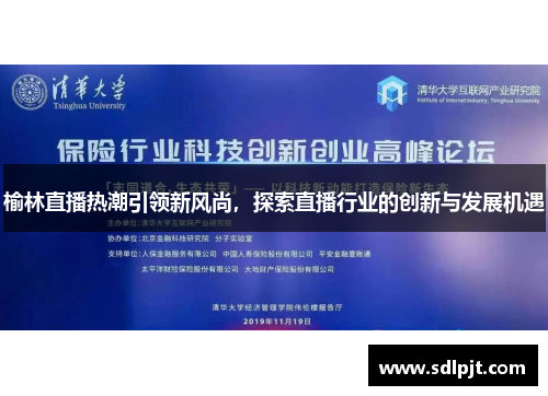 榆林直播热潮引领新风尚，探索直播行业的创新与发展机遇