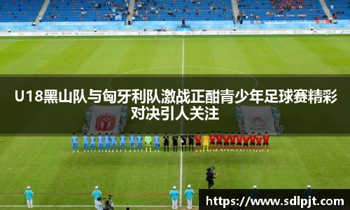 U18黑山队与匈牙利队激战正酣青少年足球赛精彩对决引人关注