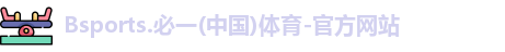 B体育官网